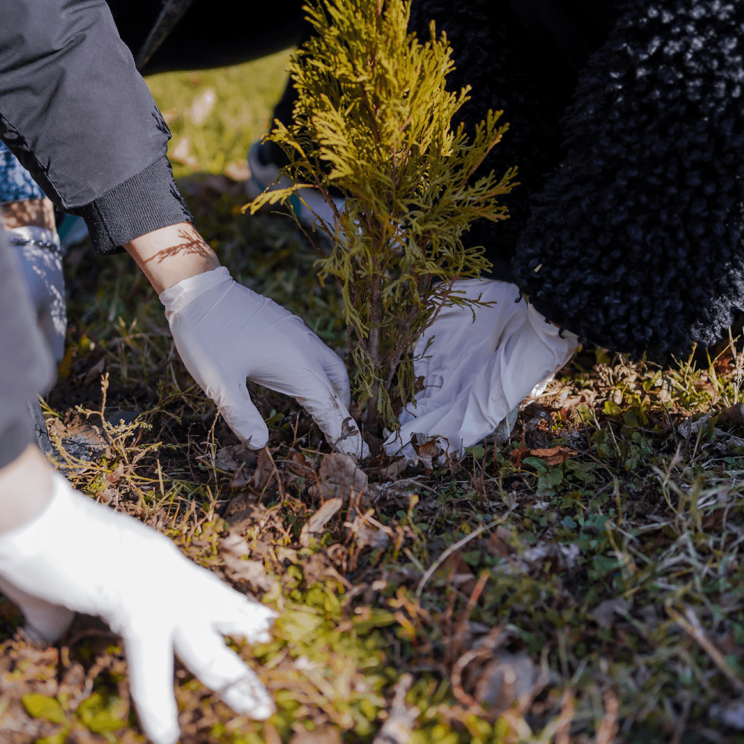 CEX